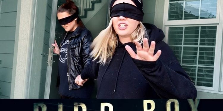 #BirdBoxChallenge