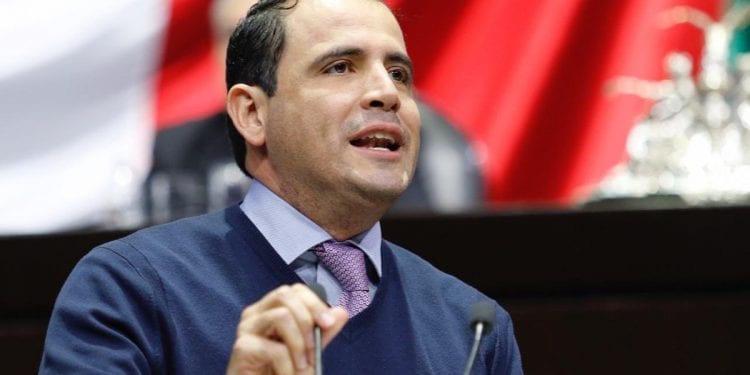 diputado federal