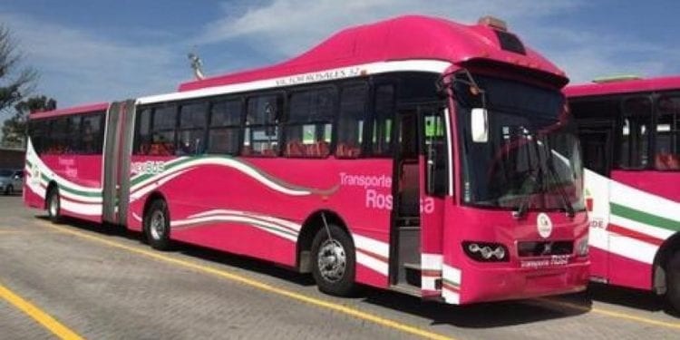 transporte rosa
