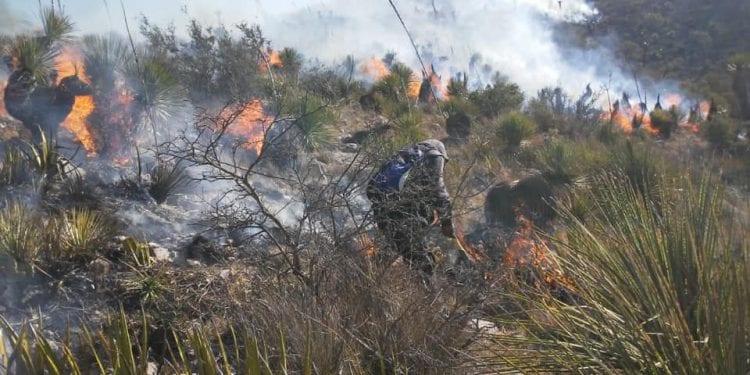incendios