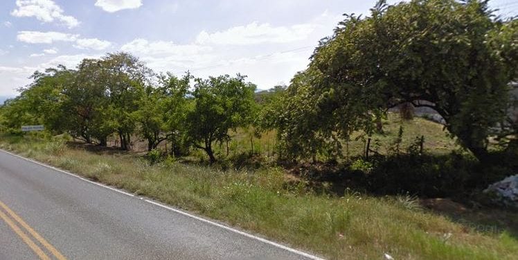 Tamuín