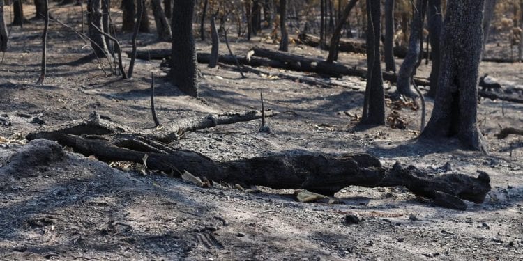 incendios