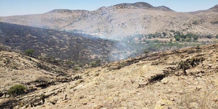 Incendio en Rioverde