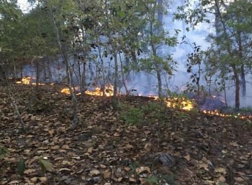 incendios forestales