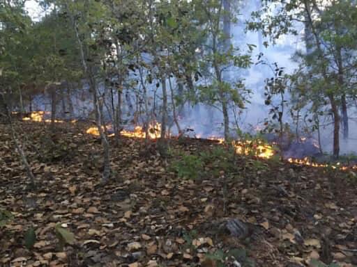 incendios forestales