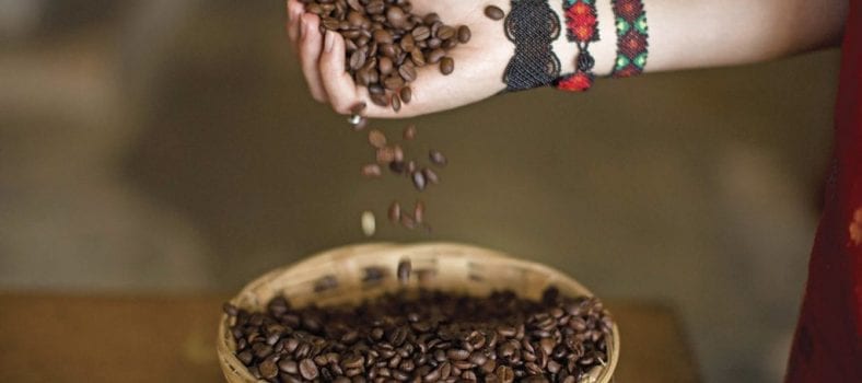 Coffee fest