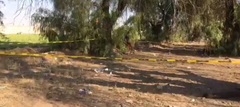cuerpo suspendido en un árbol