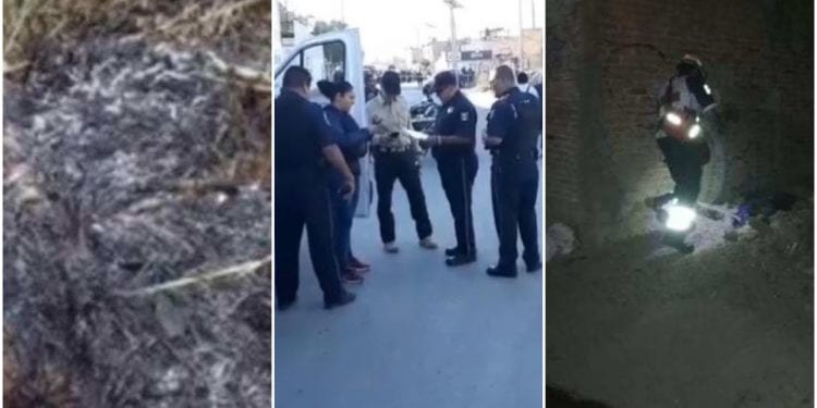 crimen organizado