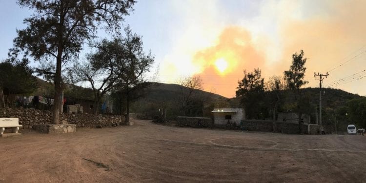 incendios forestales