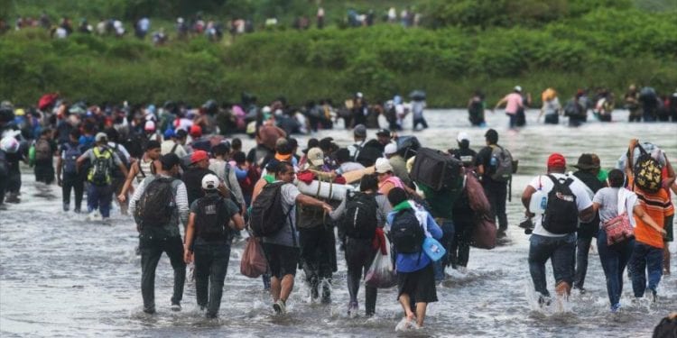 migrantes