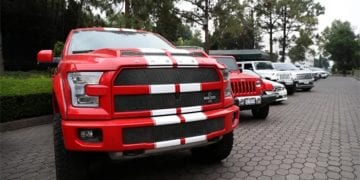 shelby