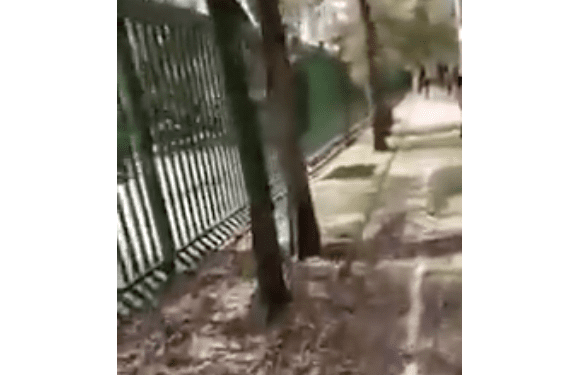 Parque de Morales