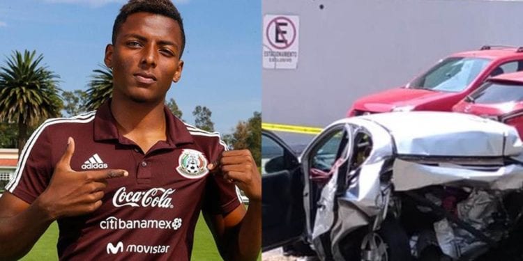 Joao Maleck