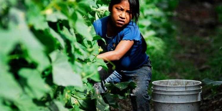 trabajo infantil