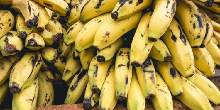 ligas bananeras