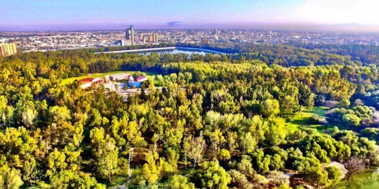 Parque Tangamanga