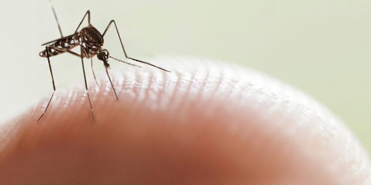 zika