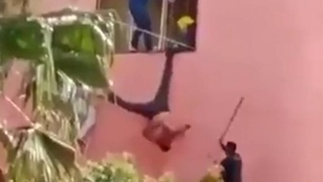 piñata