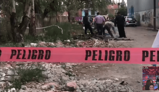 feminicidios SLP