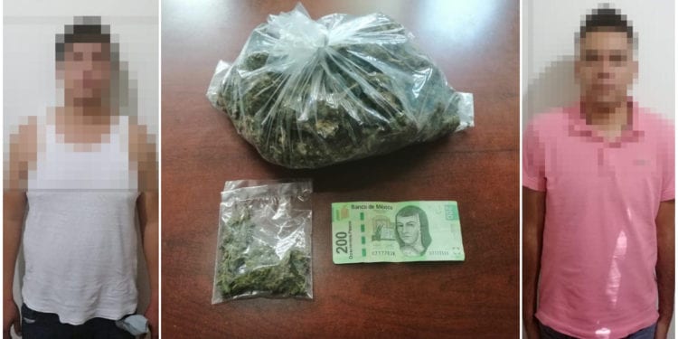 distribuidores de cigarros