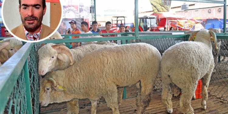 expo ganadera