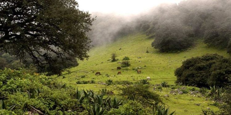 Sierra de Álvarez