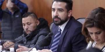 diputados plurinominales