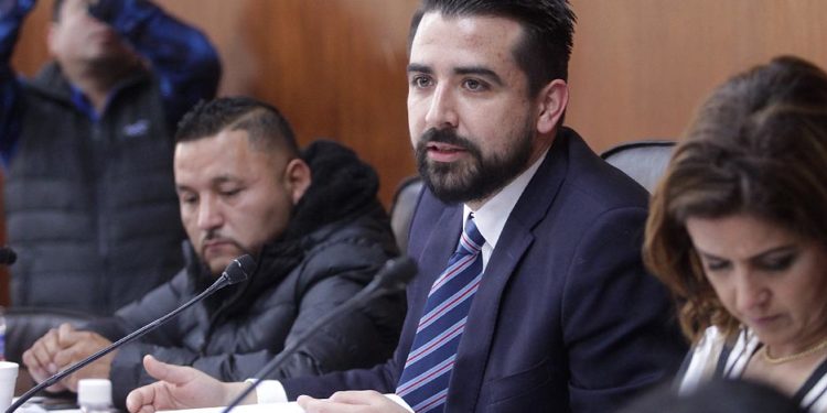 diputados plurinominales