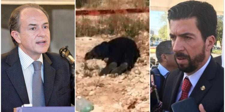 impunidad en homicidios