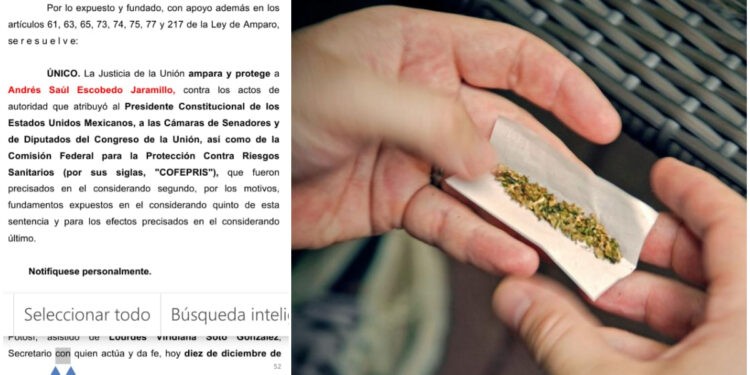marihuana