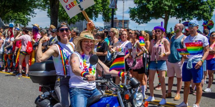 Activismos queer