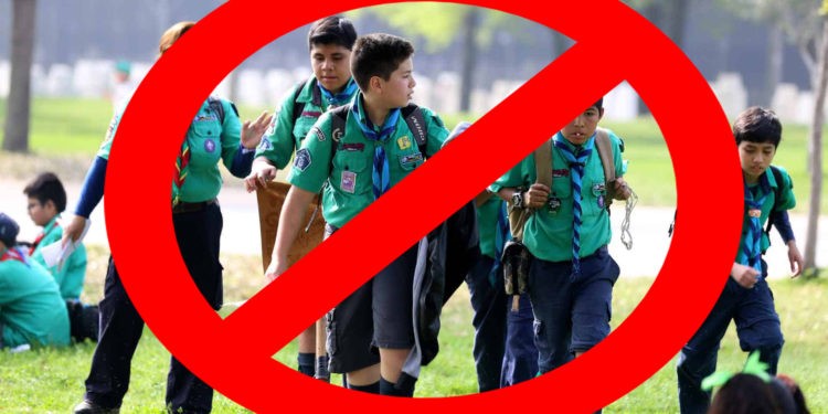 Scouts