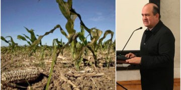 agricultores potosinos