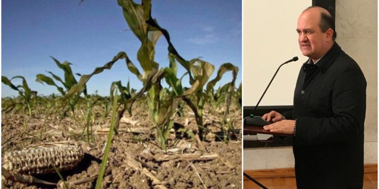 agricultores potosinos