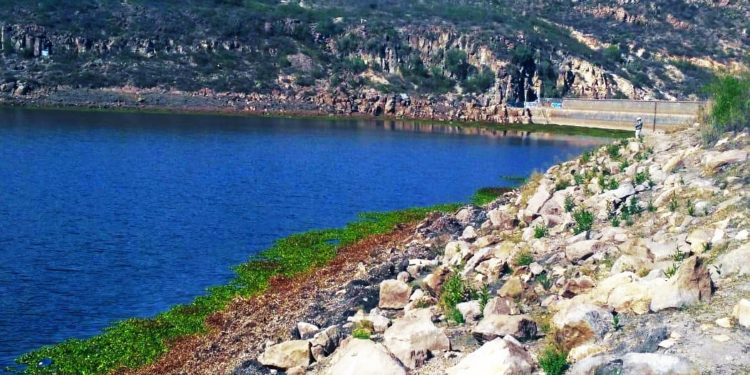 presa San José