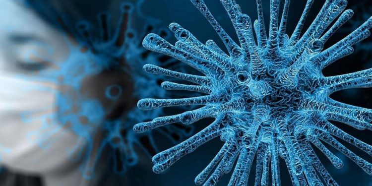 coronavirus