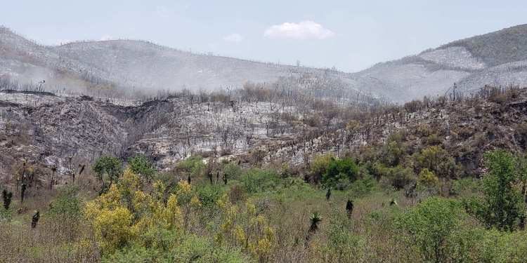 incendios en SLP