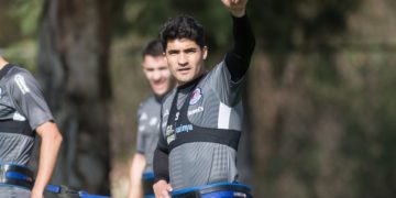 Nicolás Ibáñez