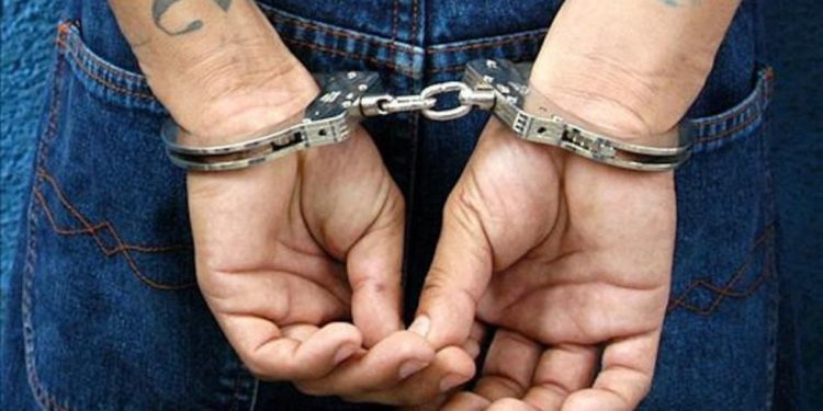 detenidos en SLP