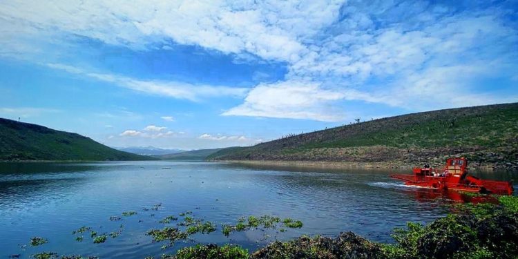 Interapas