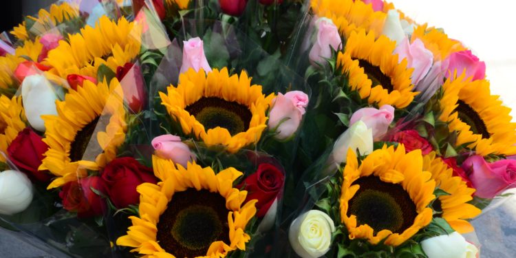 venta de flores